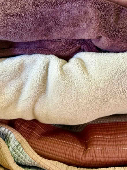 Photo of free Blankets and quilt (Ortega Park) #1