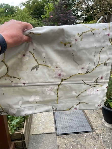 Photo of free Blinds (TN2) #2