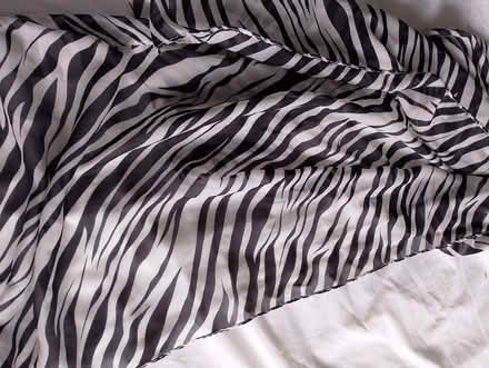Photo of free Thin zebra scarf (Fords Farm RG31) #1