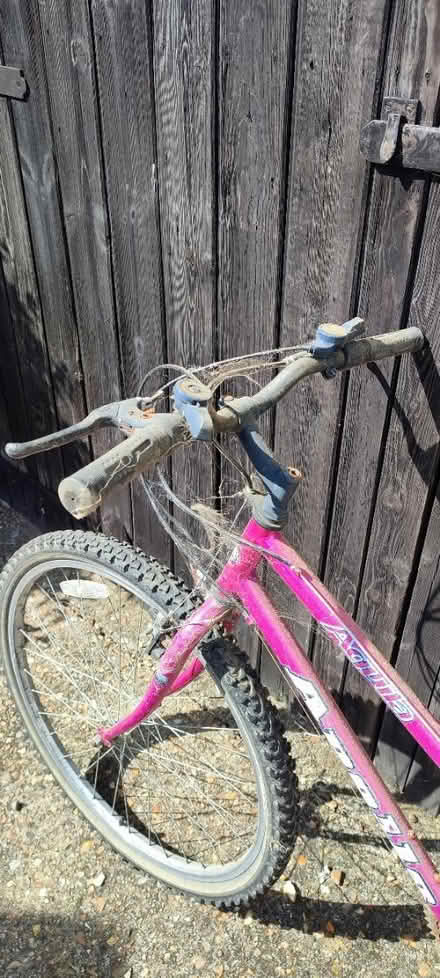 Photo of free Bike (pink) (Cb24) #2