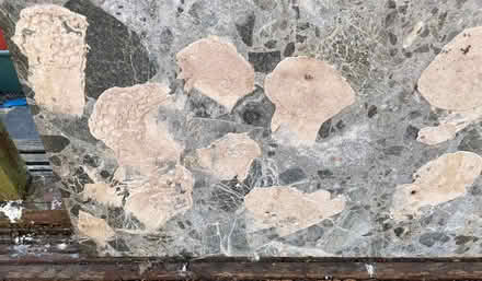 Photo of free Marble tiles (Bannockburn FK7) #3