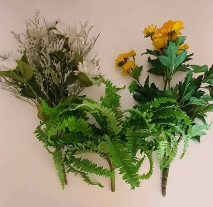 Photo of free Artificial plants (Bolton le Sands LA5) #2