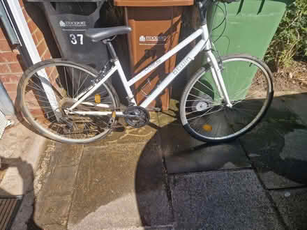 Photo of free Ladies cycle (Sk8 5nd) #1