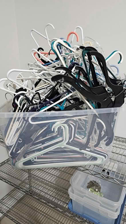 Photo of free Plastic hangers (Haymarket Va) #2