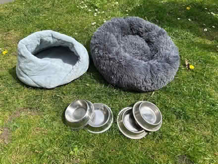 Photo of free Cat stuff (East Tisted GU34) #1