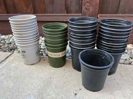 Photo of free 1 gallon plastic pots (Sunnyvale - Ponderosa Park) #1