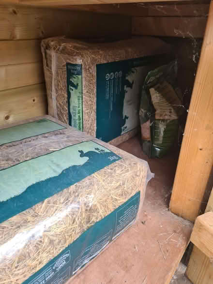 Photo of free Rabbit hutch (Offerton SK2) #2