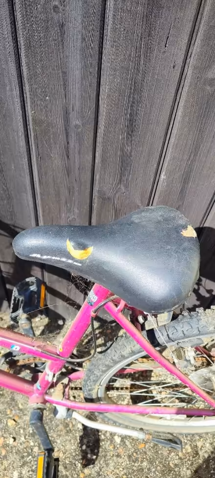 Photo of free Bike (pink) (Cb24) #3