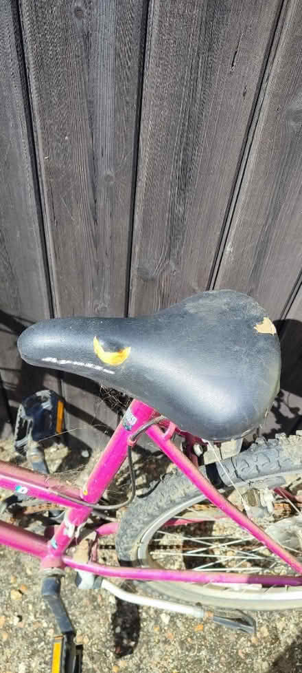 Photo of free Bike (pink) (Cb24) #3