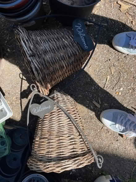 Photo of free Pots (Clapham, Bedford) #1