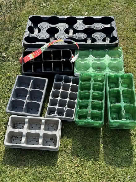 Photo of free Selection of seed trays and pots (South Harting) #2