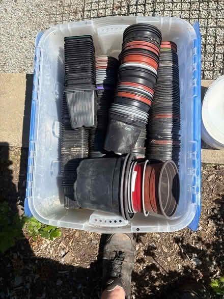 Photo of free box of plant pots (Blackwater TR4) #1