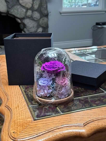 Photo of free Forever Natural Roses, Brand New (Fountain Vly, Heil & Bushard) #2