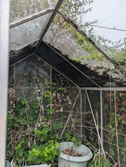 Photo of free Glass green house (Oakwood derby) #3