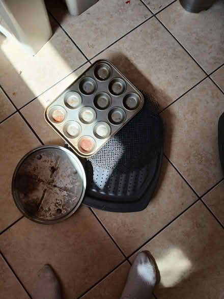 Photo of free Various oven trays (Nantwich) #1