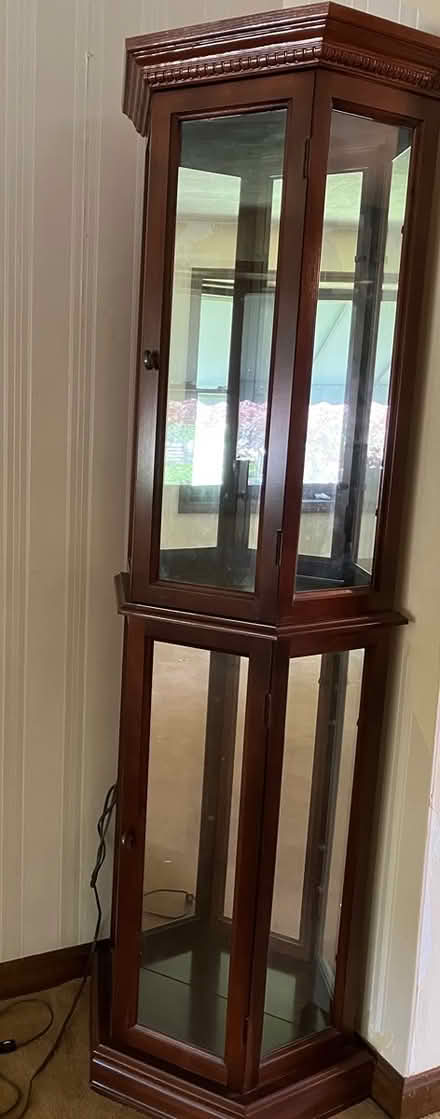 Photo of free Curio cabinet for collectibles (Woburn) #1