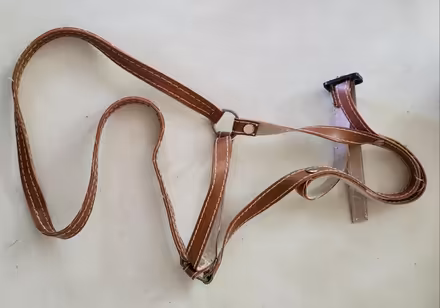 Photo of free Toy horses bridle (Kirkwood) #1