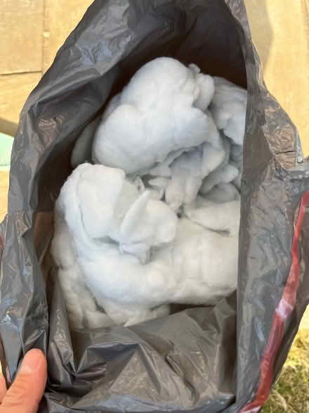 Photo of free Toy/ pillow stuffing (Headington OX3) #2