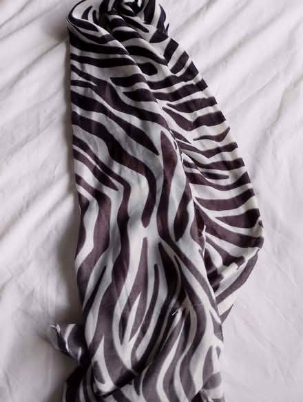 Photo of free Zebra scarf (Fords Farm RG31) #1