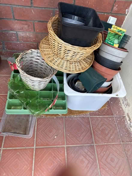 Photo of free Selection of plant pots (TA1) #1