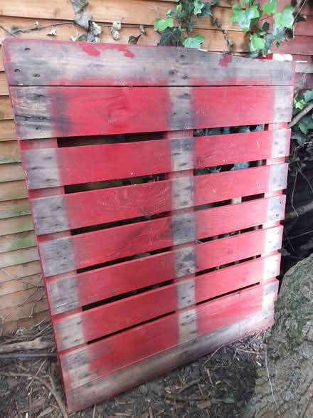 Photo of free Pallet (Loughborough) #1