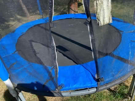 Photo of free Trampoline (Pannal HG2) #1