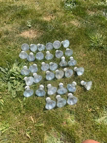 Photo of free GU10 light bulbs / lamps (Selsey PO20) #1