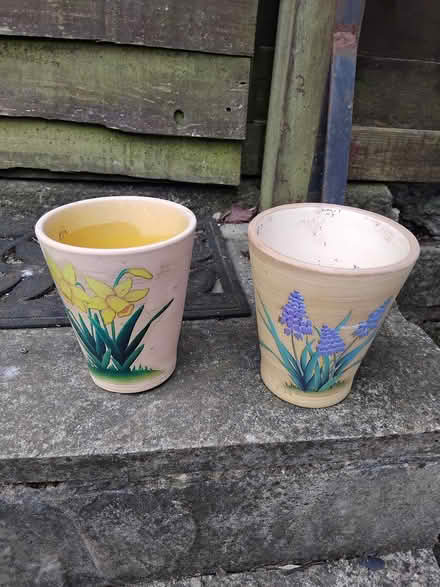 Photo of free Plant pots (Starbeck HG1) #1
