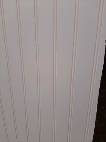 Photo of free White wood panels (Milwaukie, Ardenwald) #4