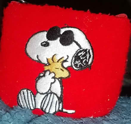 Photo of free Snoopy Zip Purse (CT9) #1