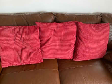 Photo of free 8 cushions (some with fillings) (vange, basildon) #2