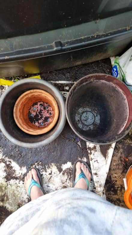 Photo of free Pots,/tall planter/ raised bed kits (Dorking RH4) #2