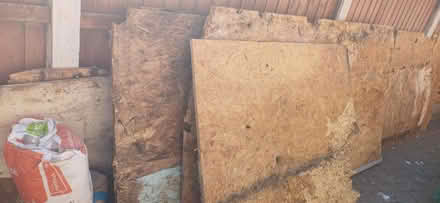Photo of free Osb boards (St71qu) #2