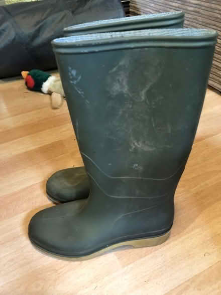 Photo of free Size 5 green wellies (Caldecott OX14) #1