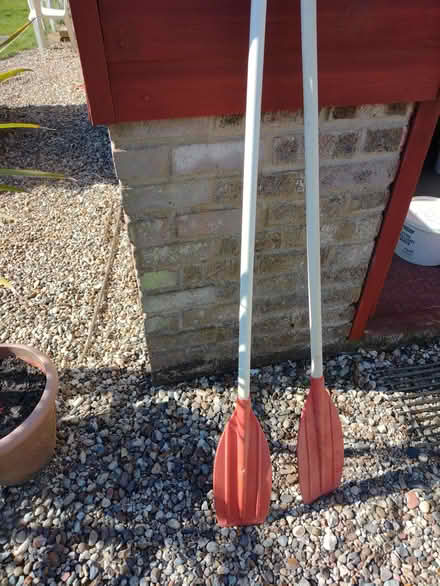 Photo of free Boat oars (Alresford CO7) #1