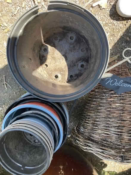 Photo of free Pots (Clapham, Bedford) #3