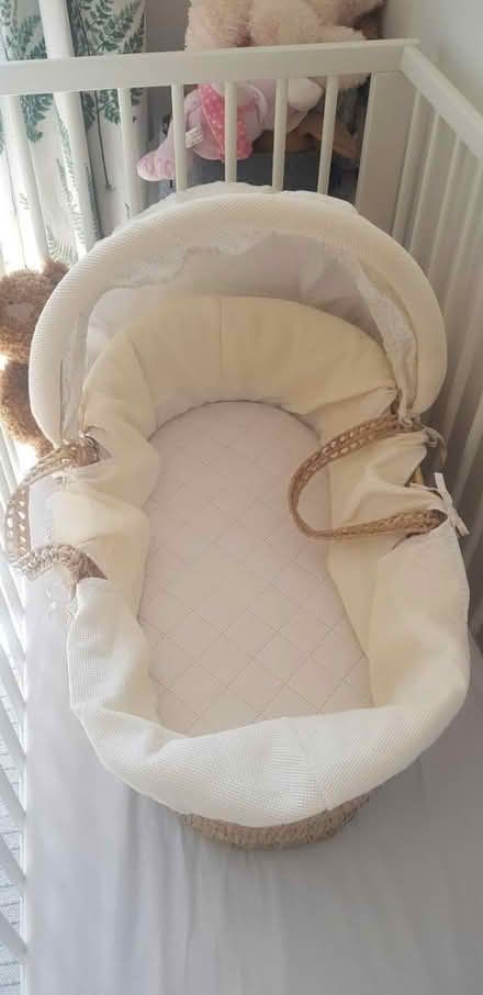 Photo of free Moses Basket (Southdown) #1