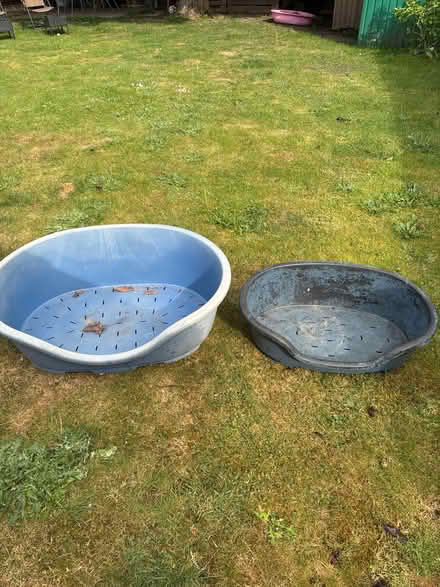 Photo of free Dog beds (Broadwater SG2) #1