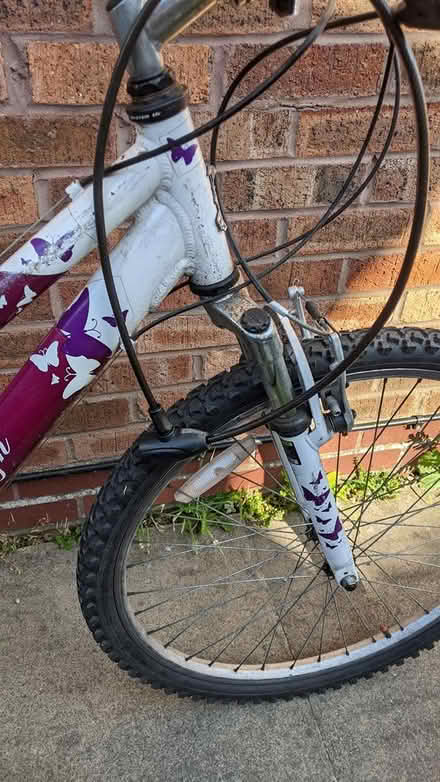 Photo of free Ladies Bike (Hill Head, PO14 2) #2
