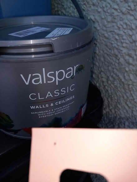 Photo of free Paint (Totnes) #1