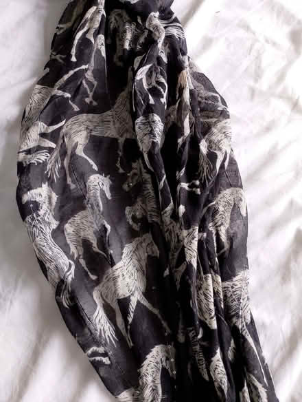 Photo of free horse scarf (Fords Farm RG31) #1