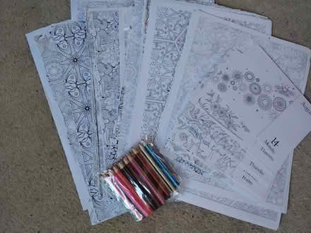 Photo of free Pile of adult colouring pages (Northern Moor M23) #1