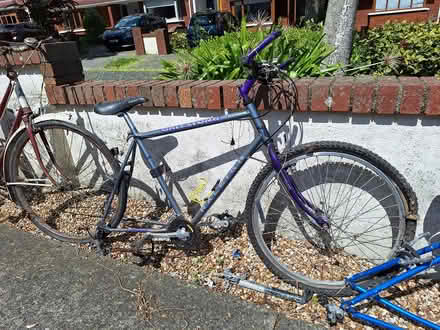 Photo of free 3 bikes (must take all) (Shankill, Dublin 18) #4