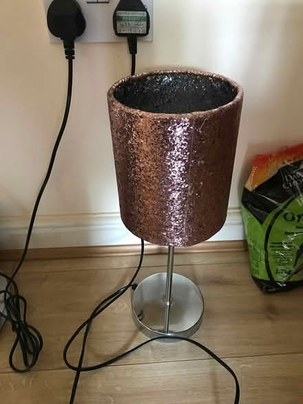 Photo of free Pink table lamp (CO2 berechurch) #1