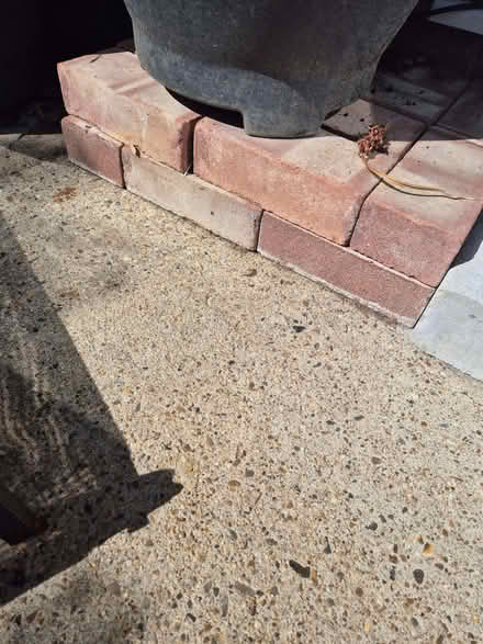 Photo of free 50ish unused house bricks (Lowestoft NR32) #1