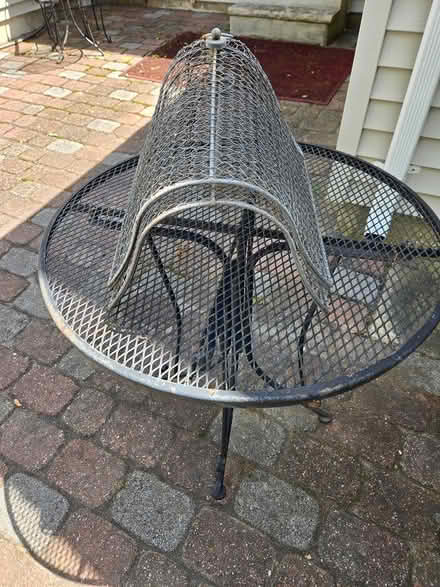 Photo of free cages for plants (off Fisher Blvd) #1