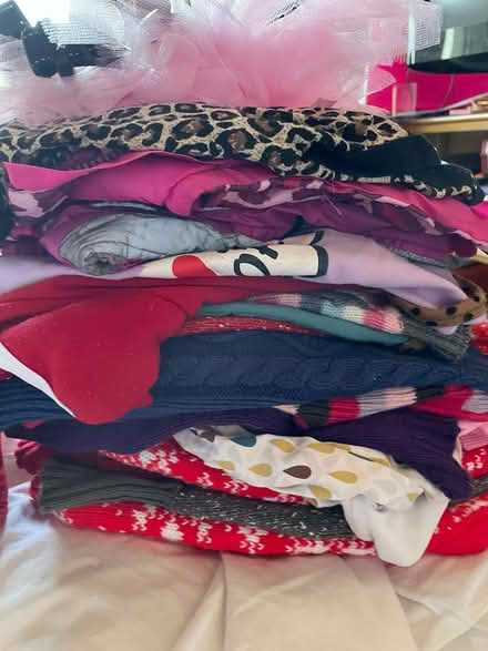 Photo of free Puppy Small dog Clothing Items (Gateacre L25) #1