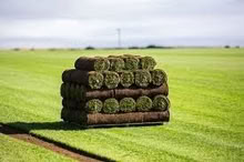 Photo of turf (sheffield loxley) #1