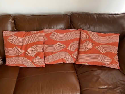 Photo of free 8 cushions (some with fillings) (vange, basildon) #1