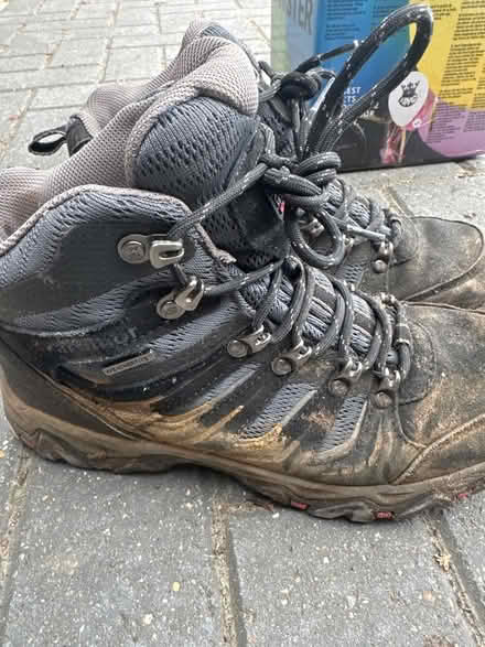 Photo of free Karrimor mount mid hiking boots 7 (Loughton MK5) #1